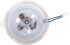 LED-Modul magnetisch MM77167