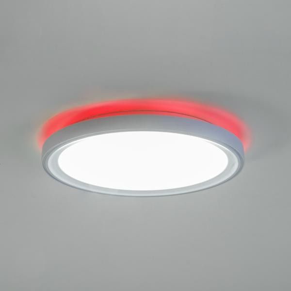 Farbringsatz 81020806