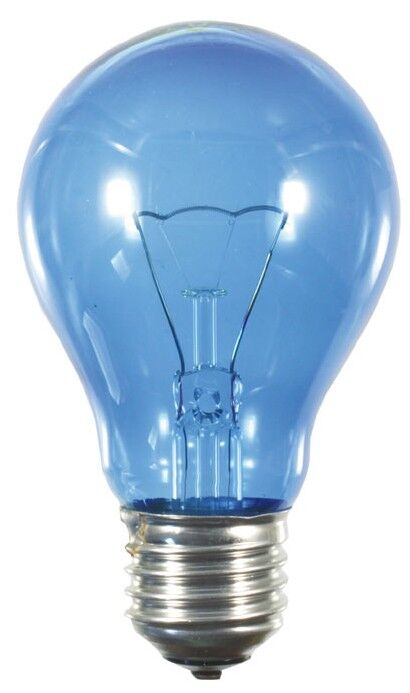 Glühlampe B60x105mm 40953