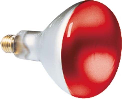 Reflektorlampe 80x110mm 41624