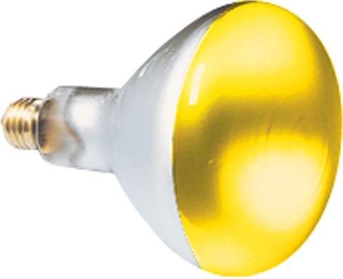 Reflektorlampe 80x110mm 41626