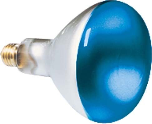 Reflektorlampe 80x110mm 41630