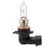 Autolampe Halogen HB3 81181
