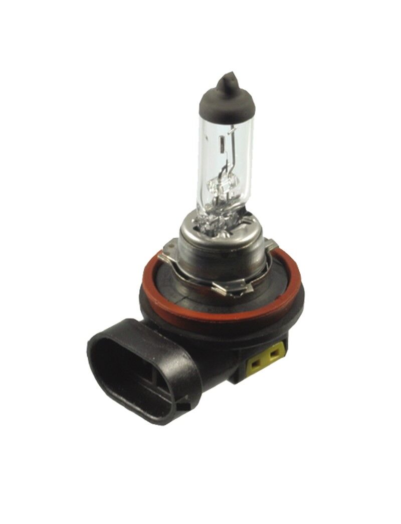 Autolampe Halogen H8 81150