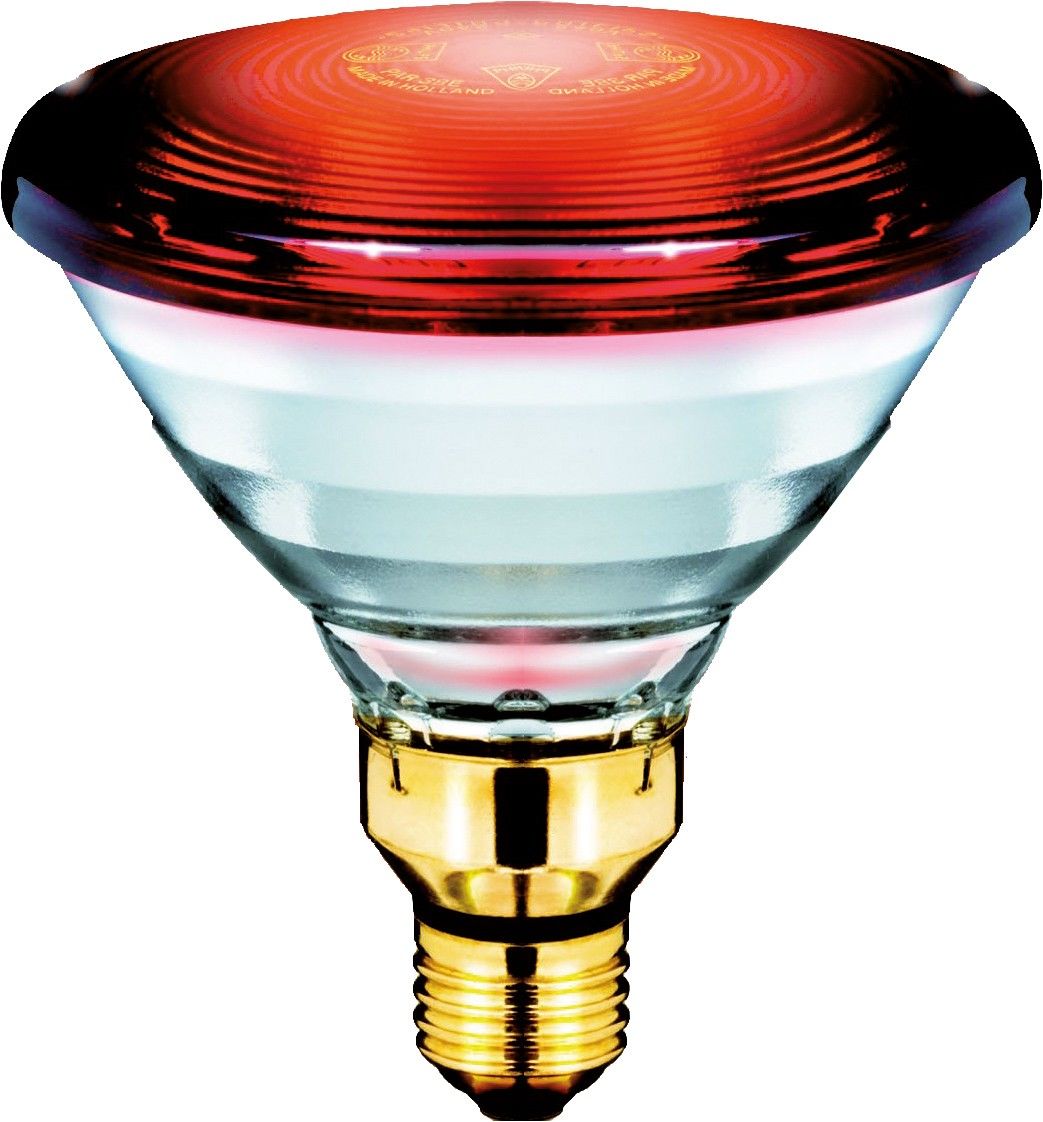 Infrarotlampe PAR38 PAR38IR150W#57535715
