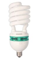 Kompaktleuchtstofflampe 49366