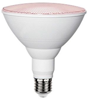 LED-Reflektorlampe PAR38 35081