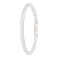 LED-Ringtube T5FC, 2GX13 LEDT5FC22EXT11.6W865