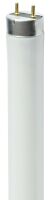 LED-Leuchtstofflampe T8 36208
