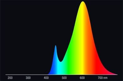 LED-Linienlampe opal RL-RAL2 35 827/O