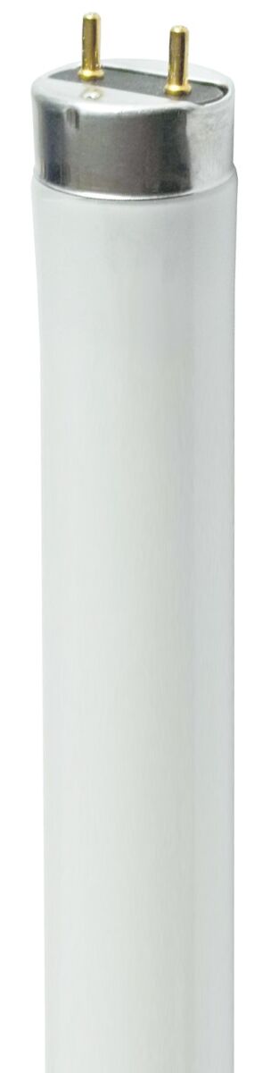 LED-Leuchtstofflampe T8 36208