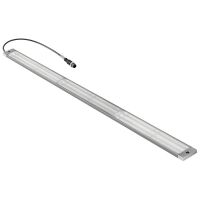 LED-Modul 24VDC 10% WIL-LWXXX#2821220000