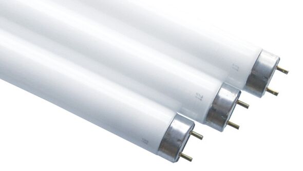 Leuchtstofflampe T8 67152