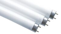 Leuchtstofflampe Actinic 68824