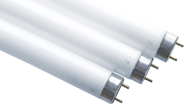 Leuchtstofflampe Actinic 68824
