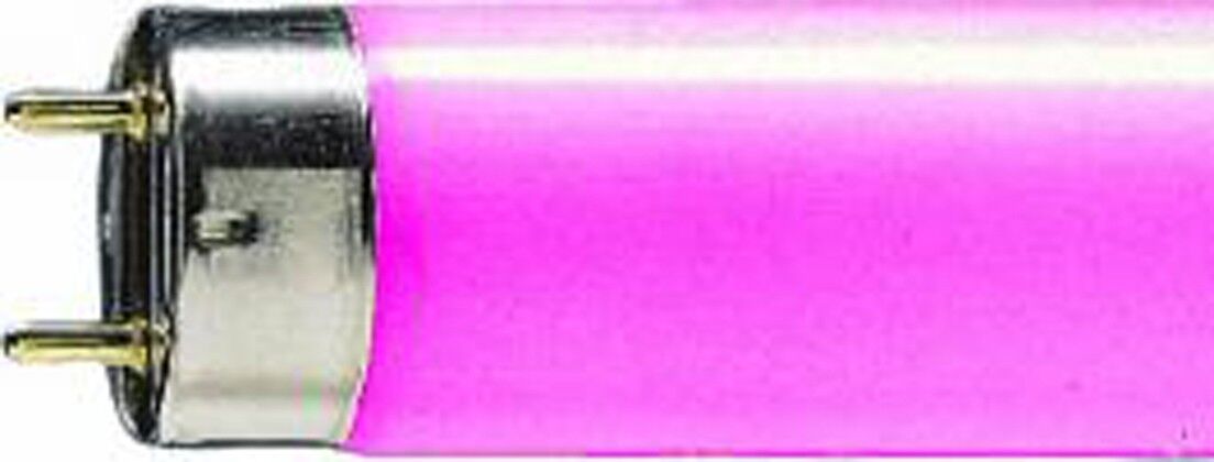 Leuchtstofflampe T8 68000