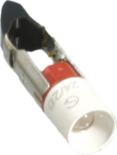 Star-LED T 5,5K 12VAC/DC w 35520