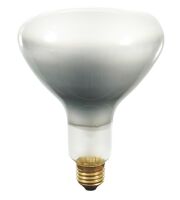 Nitraphot-Glühlampe 65061