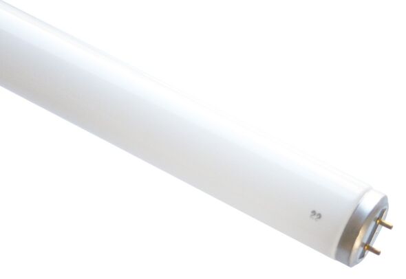 Leuchtstofflampe UV-A 68640