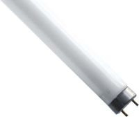 Entkeimungslampe T8 18099