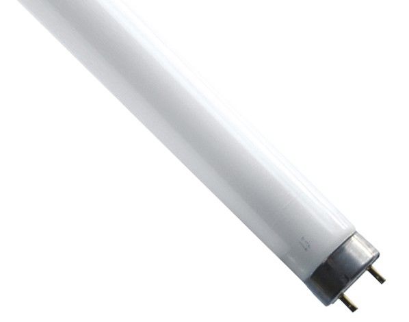 Entkeimungslampe T8 18099