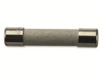 Sicherung FF 1,6A/700V (VE10)