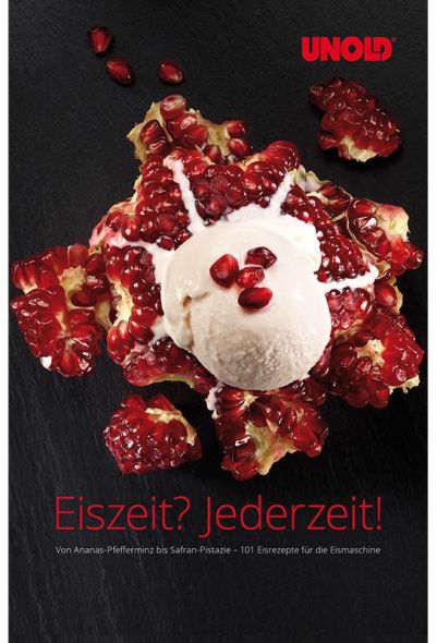 Eisbuch 488999