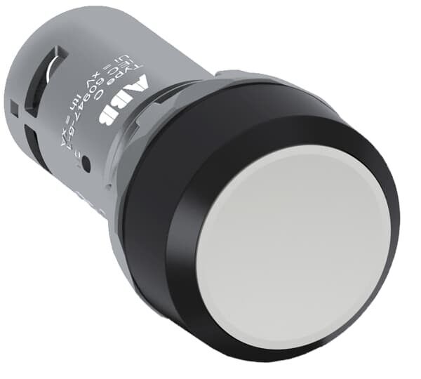 Drucktaster CP1-10U-20