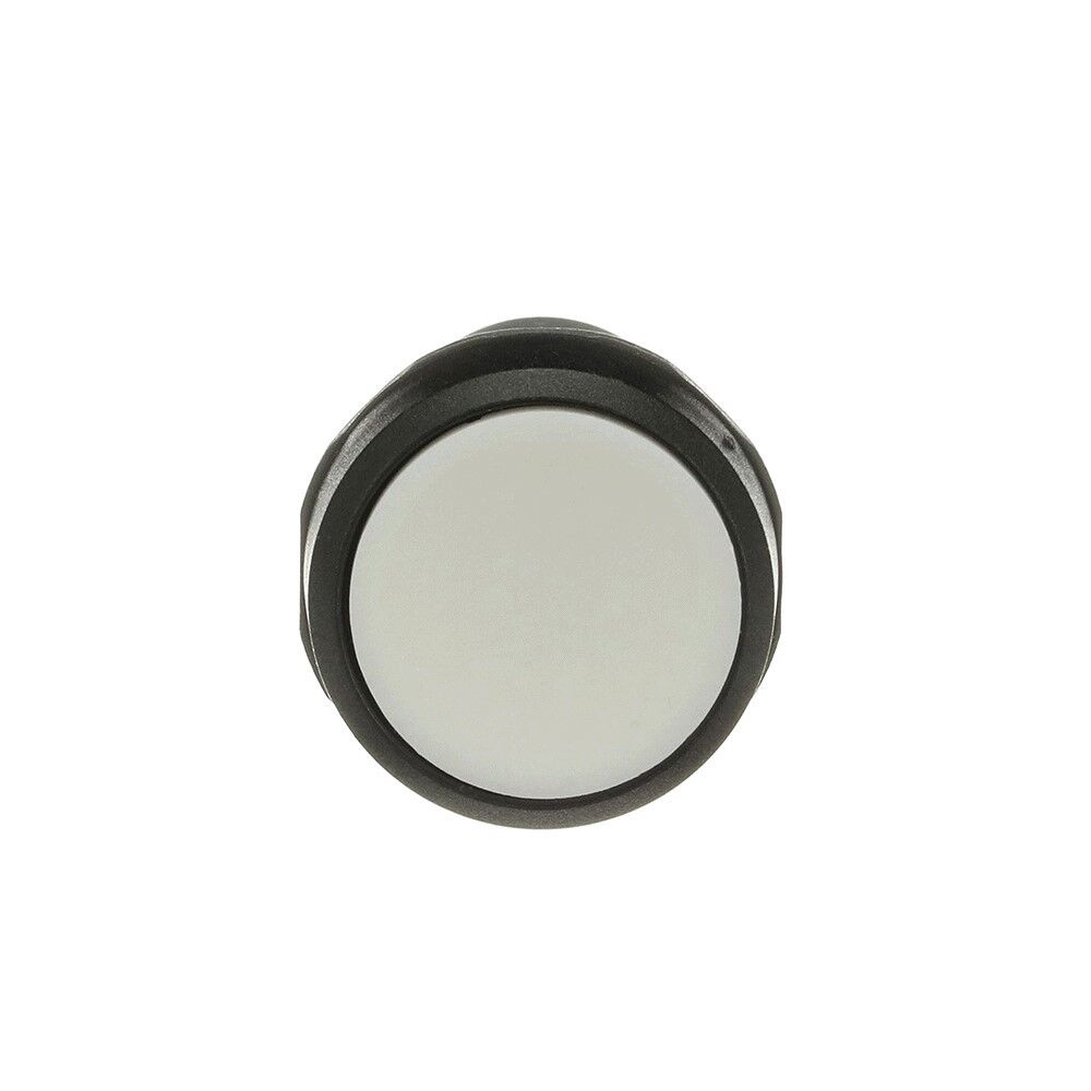Drucktaster CP1-10W-20