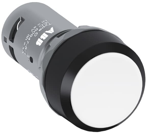 Drucktaster CP2-10W-20