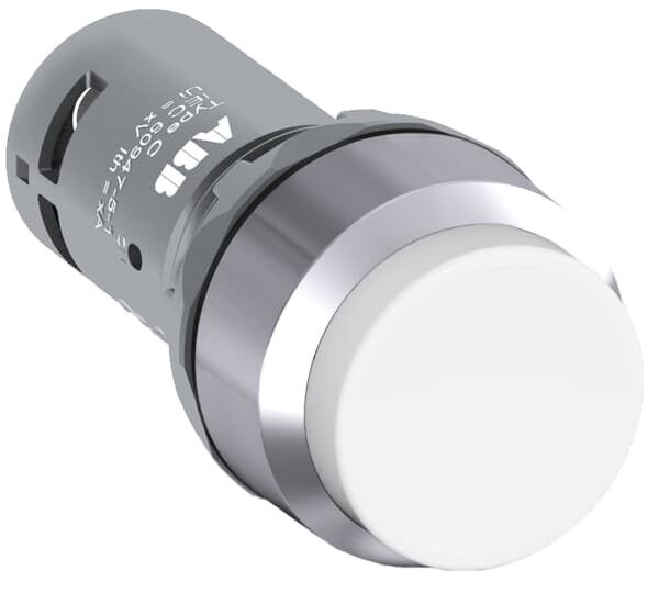 Drucktaster CP3-30W-20