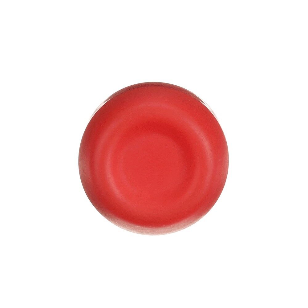 Robusttaster CP6-10R-02