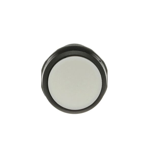Drucktaster CP1-10W-20