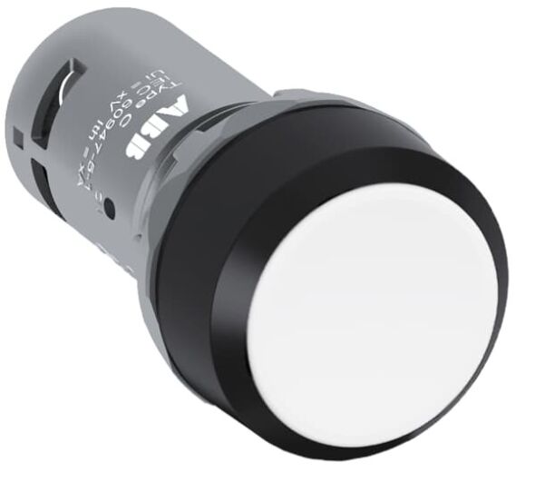 Drucktaster CP2-10W-10
