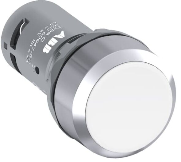Drucktaster CP2-30W-10