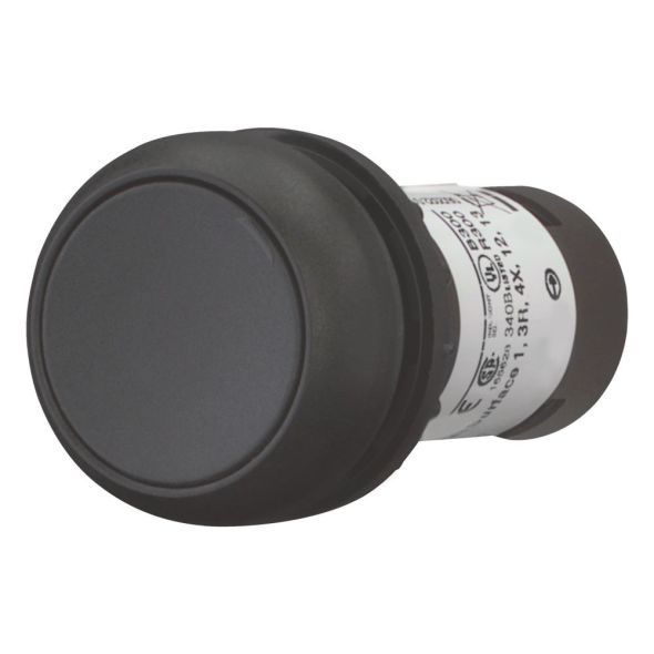 Drucktaste flach rastend C22S-DR-S-K01