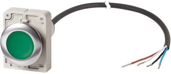 Drucktaste flach rastend C30C-FDR-G-K10-P65