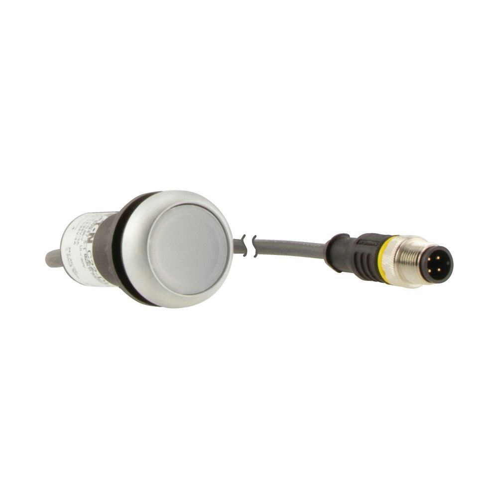 Leuchtdrucktaste Classic C22-DRL-W-K10-24-P3