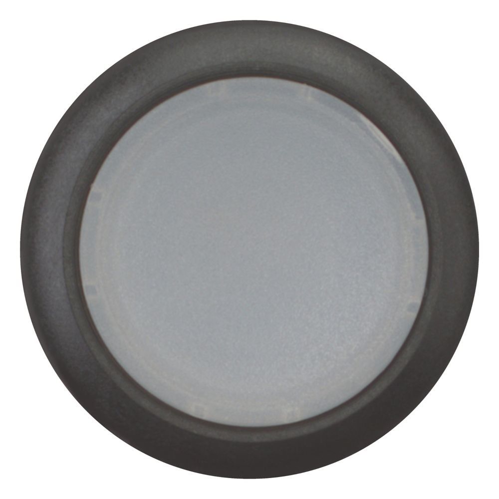 Leuchtdrucktaste flach C22S-DRL-W-K10-24