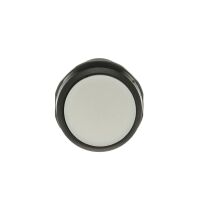Drucktaster CP1-10W-20