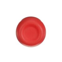 Robusttaster CP6-10R-02