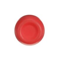 Robusttaster CP6-10R-11