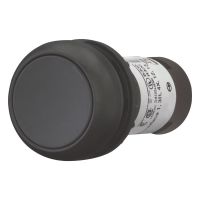 Drucktaste flach rastend C22S-DR-S-K01