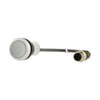 Leuchtdrucktaste Classic C22-DRL-W-K10-24-P3