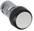 Drucktaster CP1-10U-20