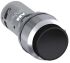 Drucktaster CP3-30B-20