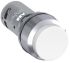 Drucktaster CP3-30W-11