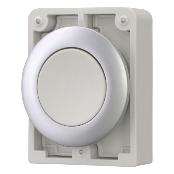 Drucktaste RMQ-Titan M30C-FD-GR