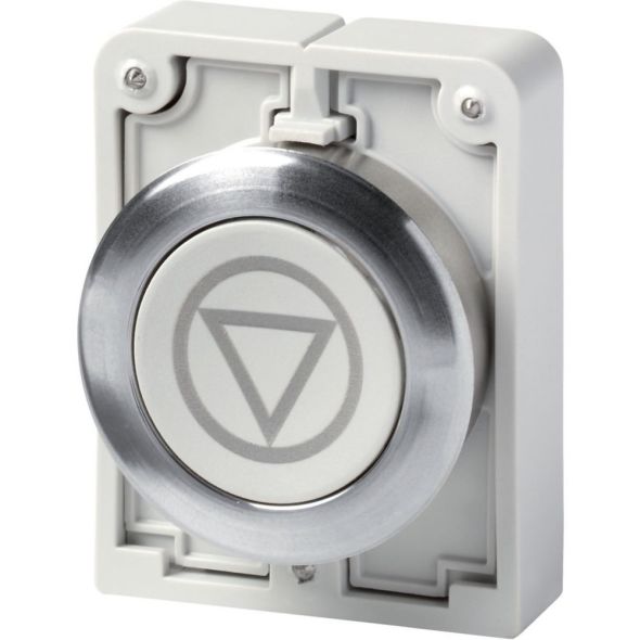 Drucktaste RMQ-Titan M30C-FD-GR-X66