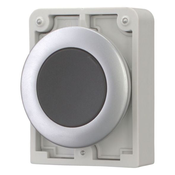 Drucktaste RMQ-Titan M30C-FDR-S